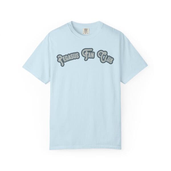 Pegasus Fan Club Heavyweight T-Shirt - Image 11